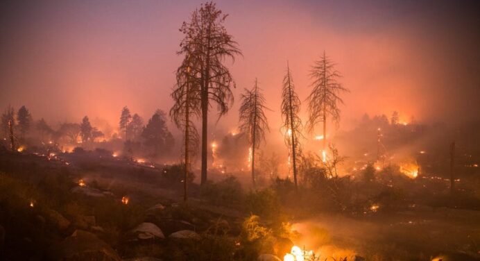 Artistas se han visto afectados por incendios forestales en California