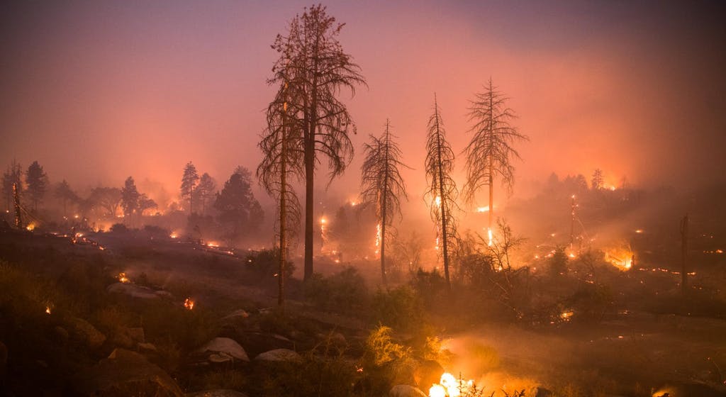 Artistas se han visto afectados por incendios forestales en California