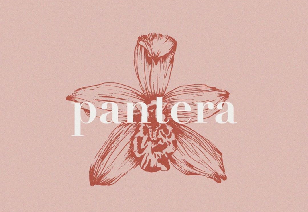 Anakena estrena versión acústica de ‘Pantera’