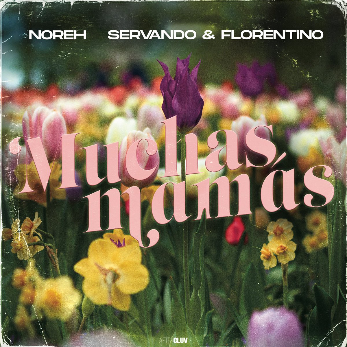 Disfruta de ‘Muchas Mamas’: Lo nuevo de Noreh