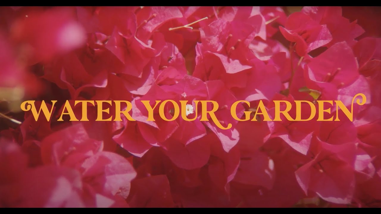 Magic City Hippies revela el videoclip de ‘Water Your Garden’ junto a maye