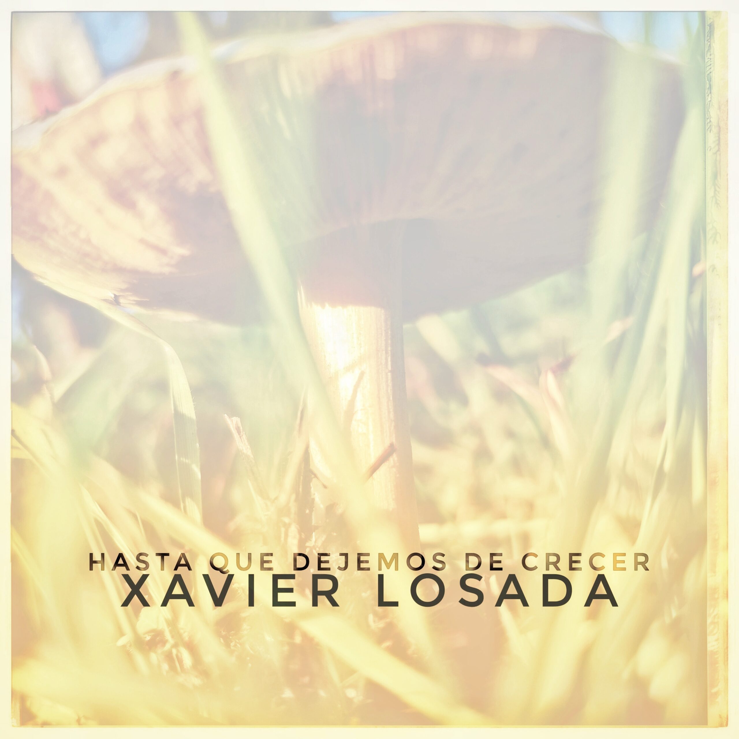 Xavier Losada